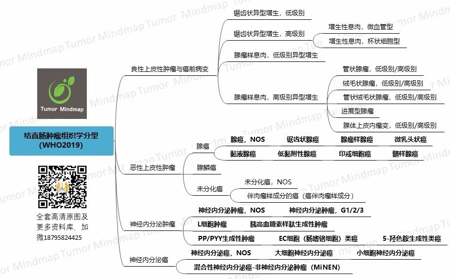 微信图片_20201220165600.png