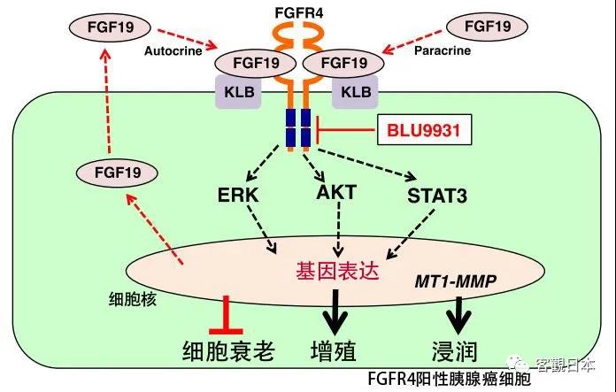 微信图片_20210119160008.jpg