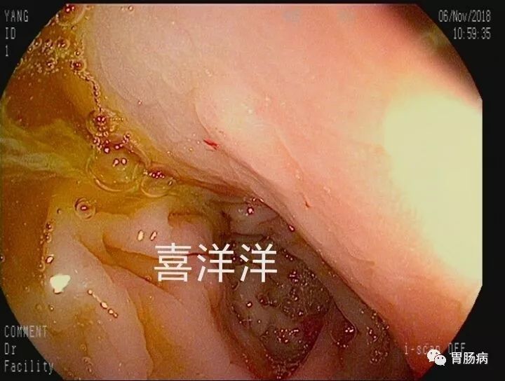 微信图片_20200921170959.jpg