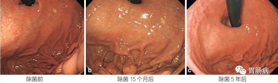 微信图片_20201201152404.jpg