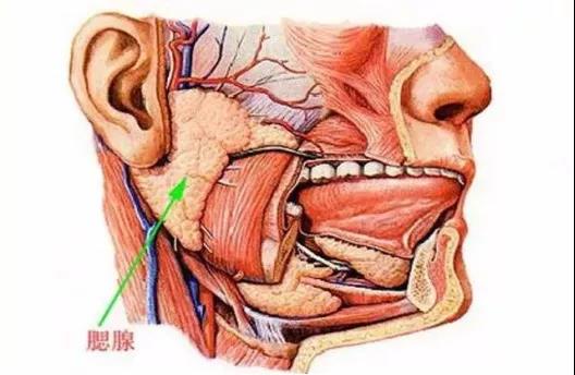 微信图片_20211214140709.jpg
