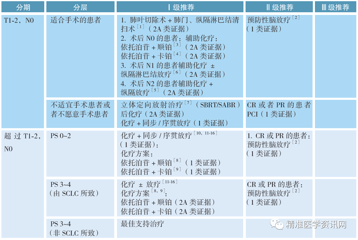 2020 csco小细胞肺癌诊疗指南全文来了!