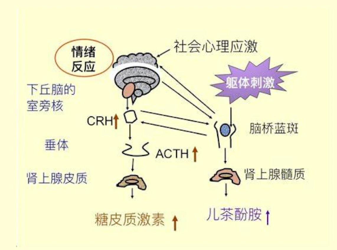 微信图片_20201019110358.png