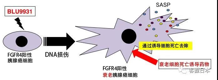 微信图片_20210119160010.jpg