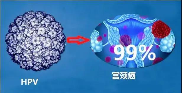微信图片_20210113150130.jpg