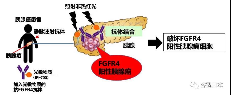 微信图片_20210119160012.jpg