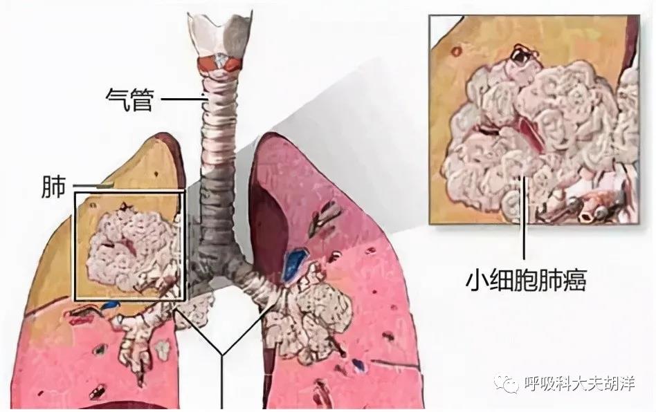 微信图片_20211213141944.jpg
