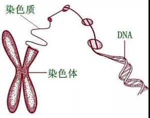 微信图片_20211209172038.jpg