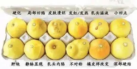 微信图片_20201009174238.jpg