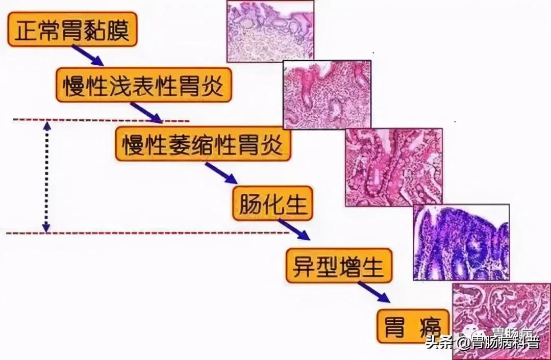 微信图片_20210611133652.jpg