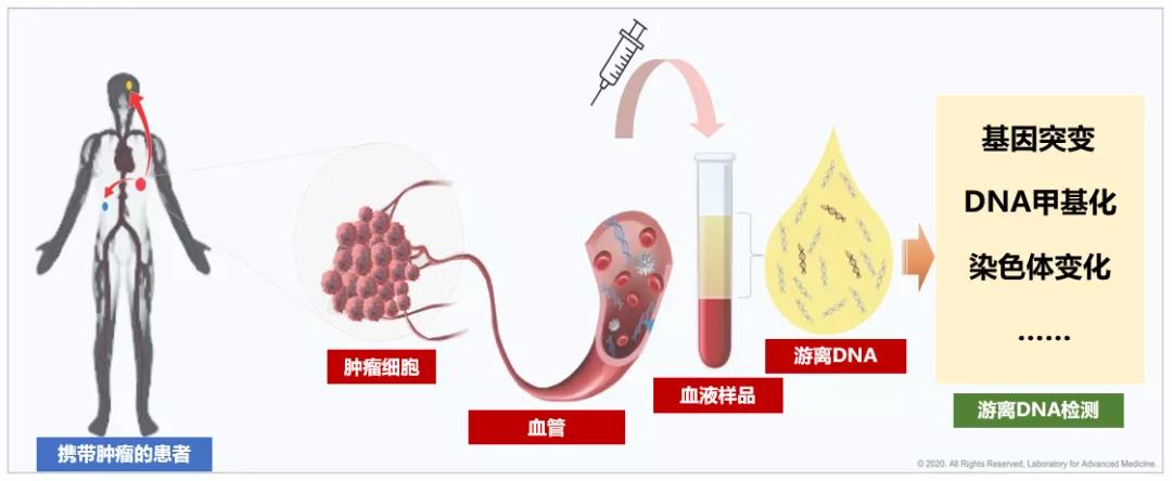 微信图片_20210914110900.jpg