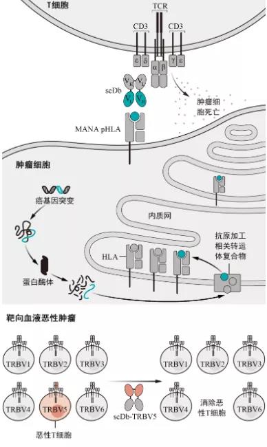 微信图片_20210414113139.jpg