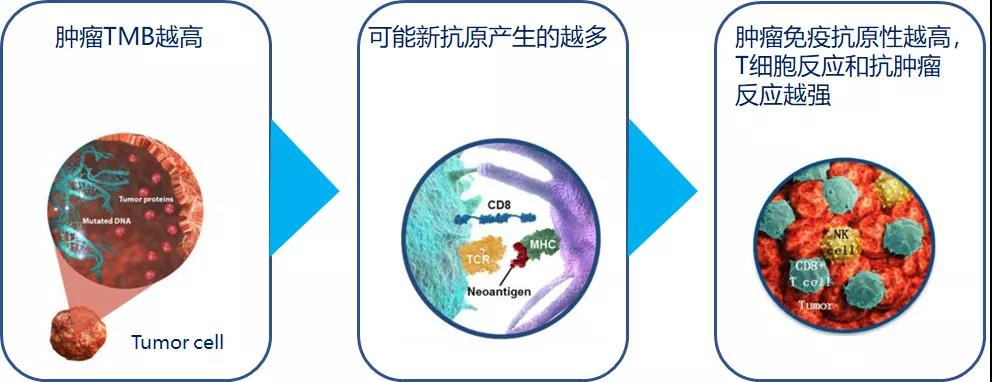 微信图片_20210826103012.jpg