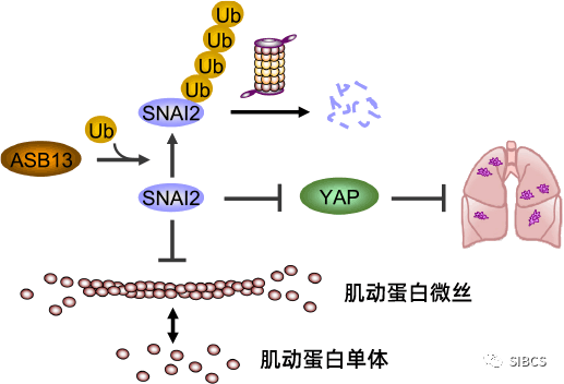 微信图片_20200923130414.png