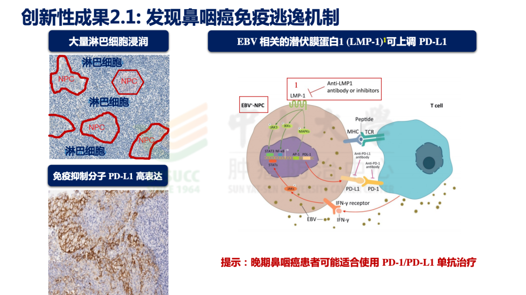 微信图片_20211123103654.png
