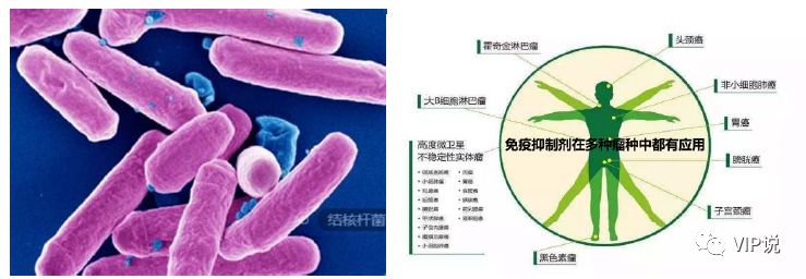 微信图片_20210802103912.jpg