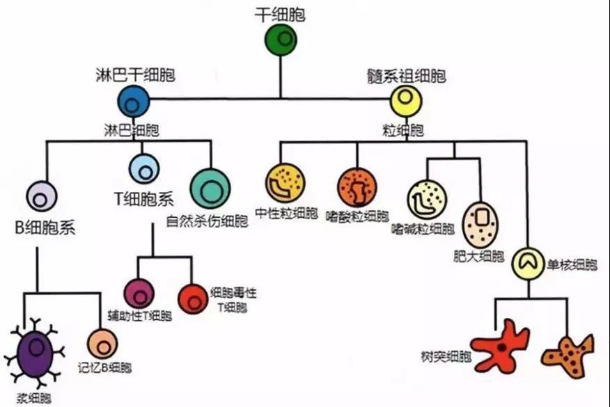 微信图片_20210826102829.jpg