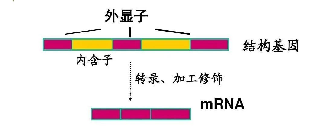 微信图片_20211108101157.jpg