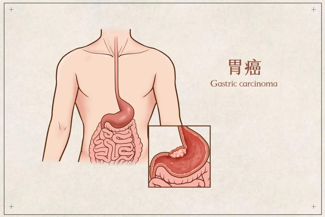 微信图片_20211123110344.jpg
