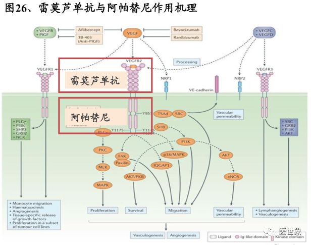 微信图片_20210722152027.jpg
