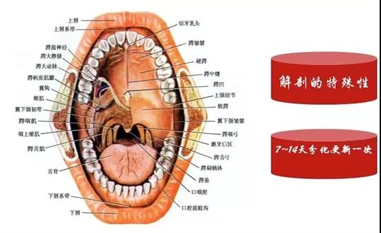 微信图片_20211202160518.jpg