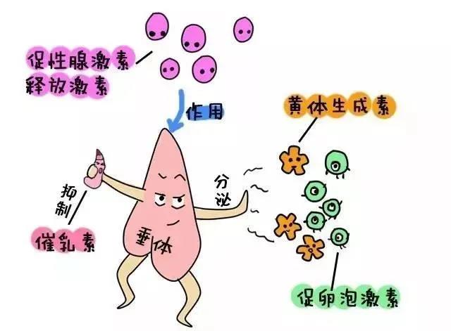 微信图片_20210928163234.jpg