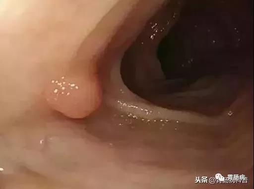 微信图片_20210228190244.jpg
