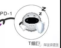 微信图片_20200831092635.jpg