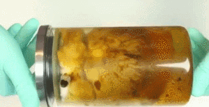 微信图片_20201009173555.gif