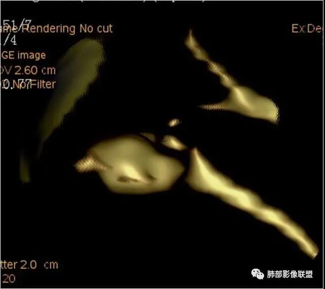 微信图片_20201004190248.jpg