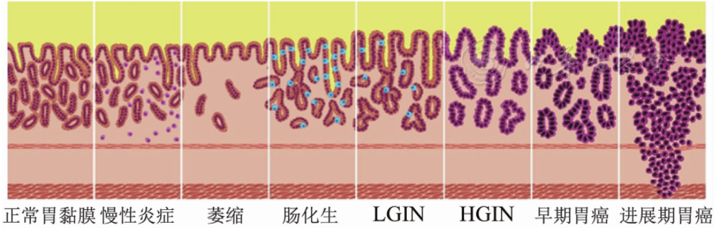 微信图片_20201126162953.png