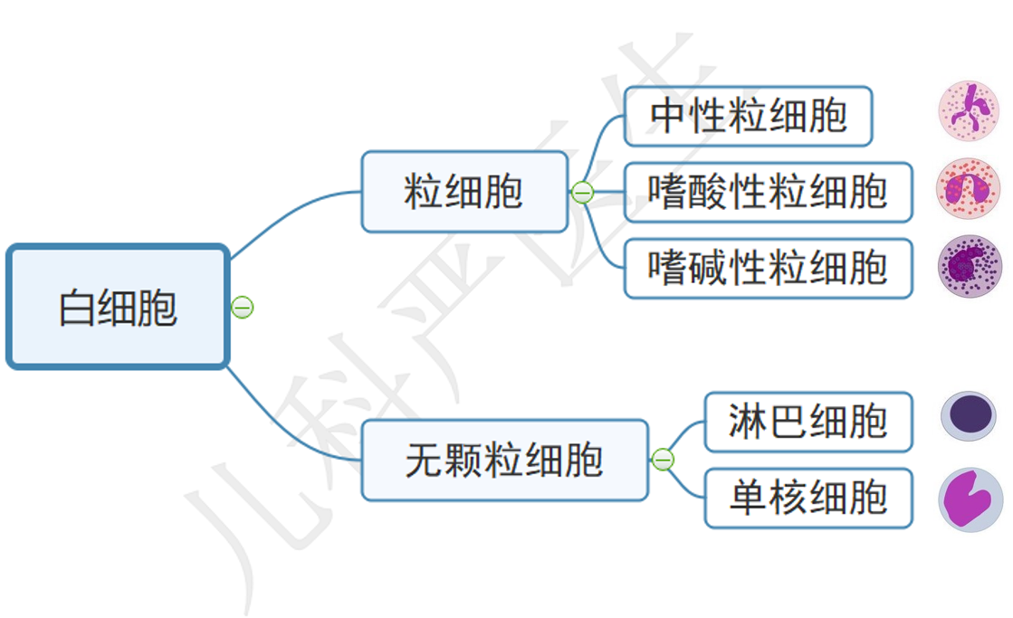 微信图片_20210126111418.png
