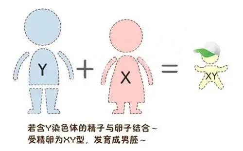 微信图片_20210329145559.jpg