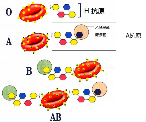 微信图片_20210301151604.png