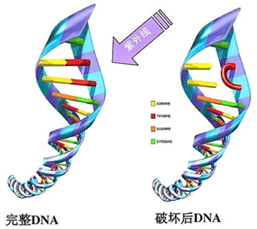 微信图片_20210225100309.png
