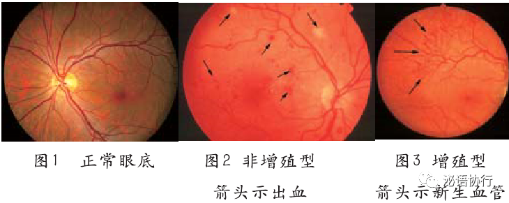 微信图片_20210729100622.png