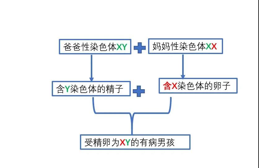 微信图片_20210329145602.jpg