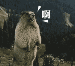微信图片_20210122104428.gif