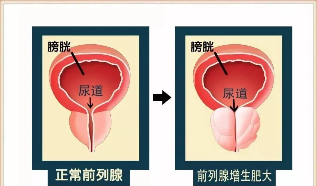 微信图片_20220207105838.jpg