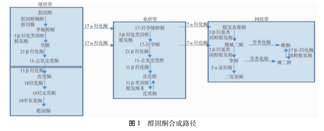 微信图片_20210728155156.png