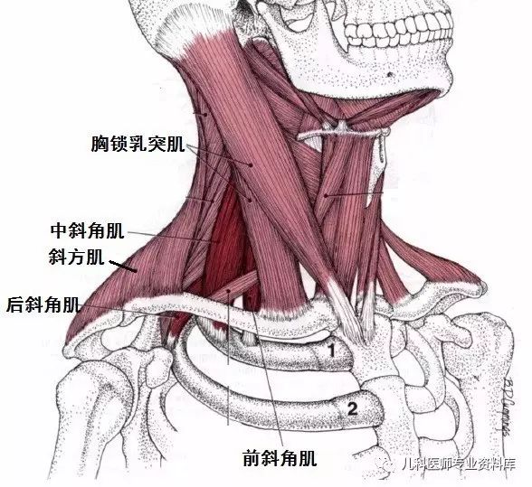 微信图片_20210125142336.jpg