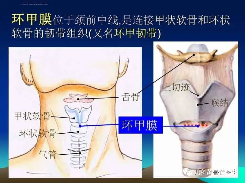 微信图片_20220317165734.jpg