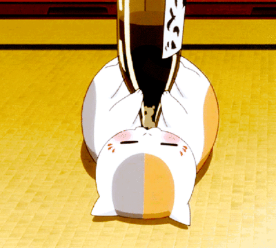 640 (1).gif