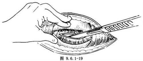 微信图片_20201109142628.jpg