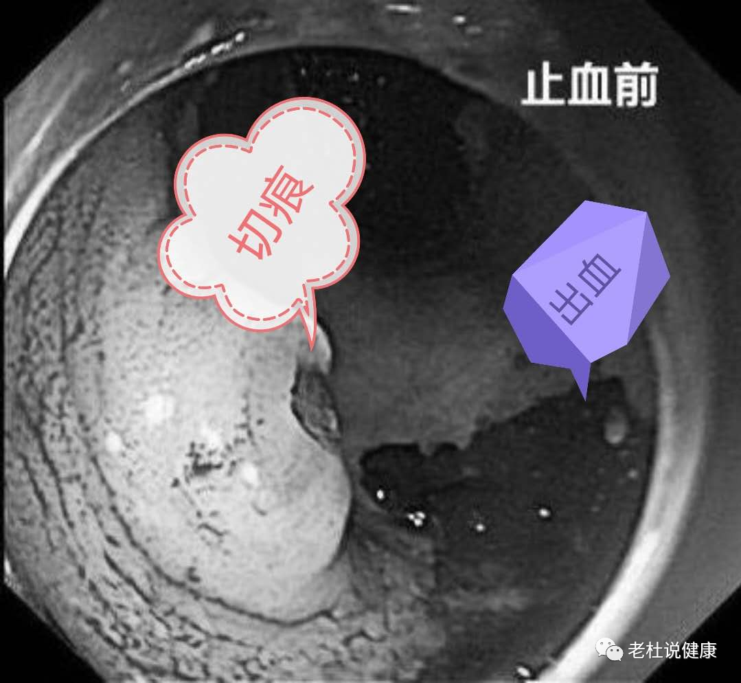 微信图片_20200821161359.png