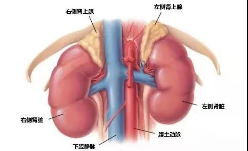 微信图片_20211130135413.jpg