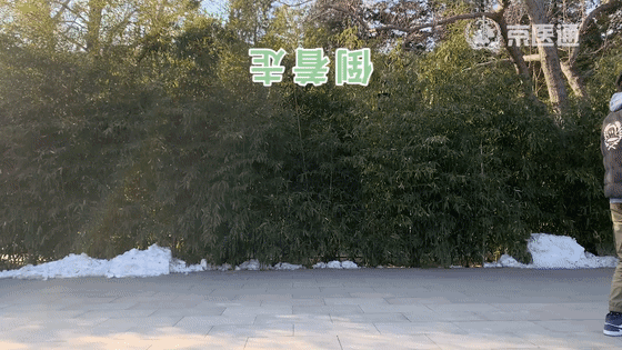 微信图片_20220215161233.gif