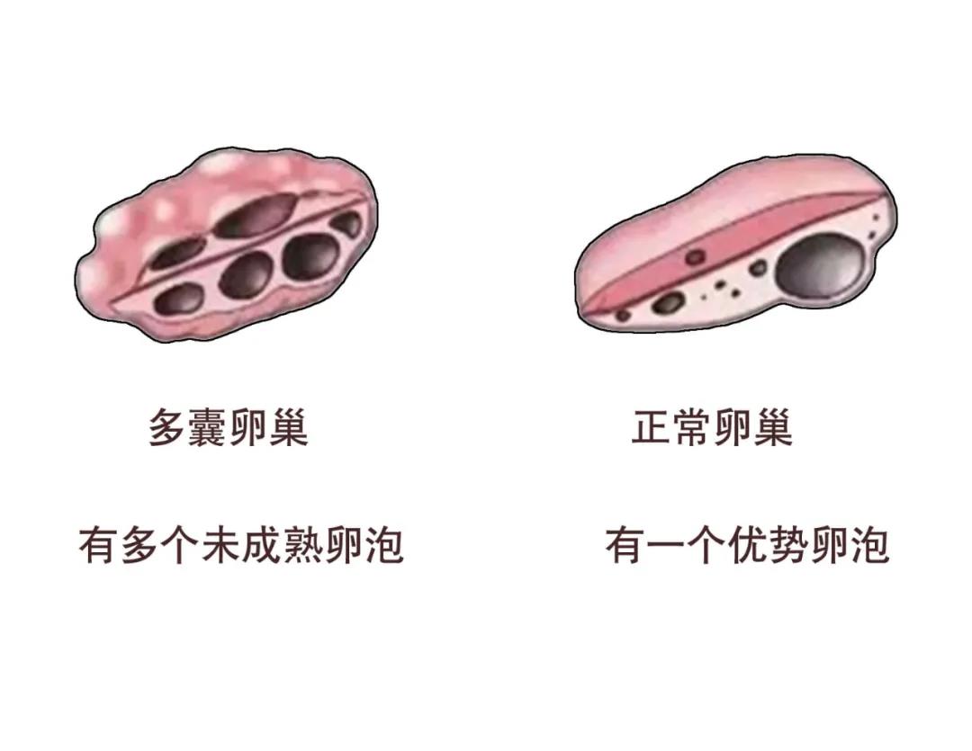 微信图片_20211130141922.jpg