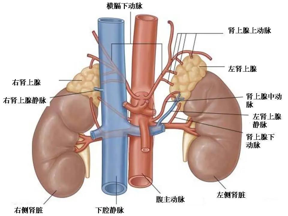 微信图片_20211130134531.jpg