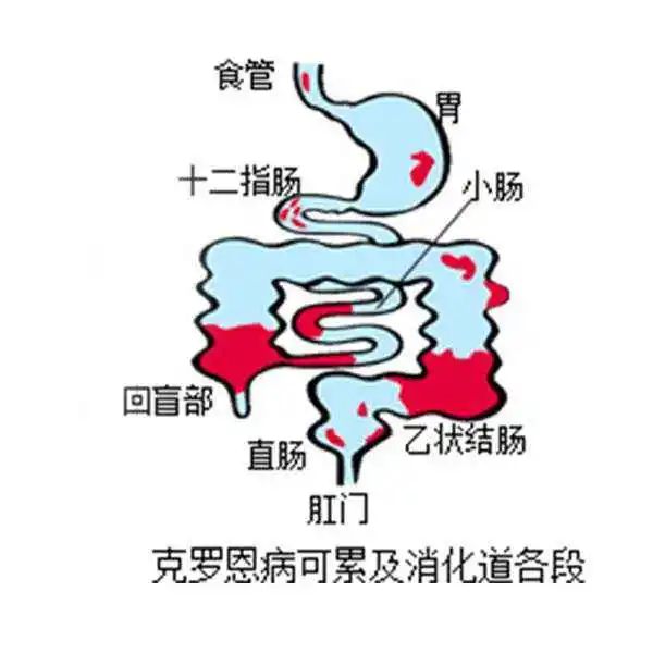 微信图片_20200821151637.jpg